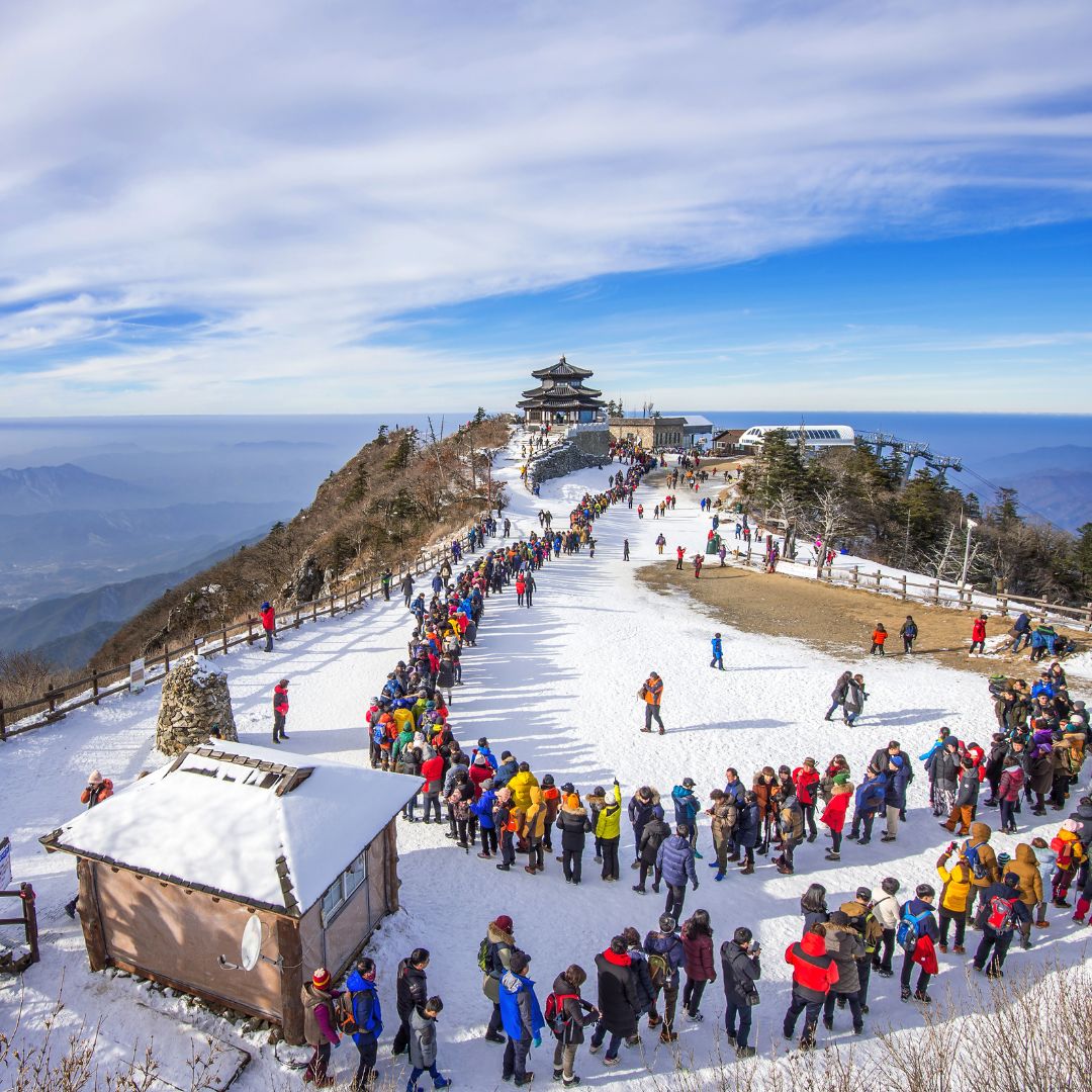 Tiger hill